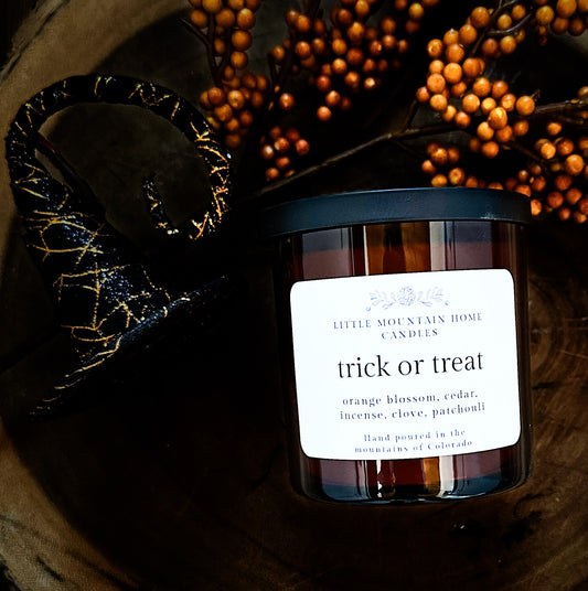 Trick or Treat - 2025 Halloween Candle