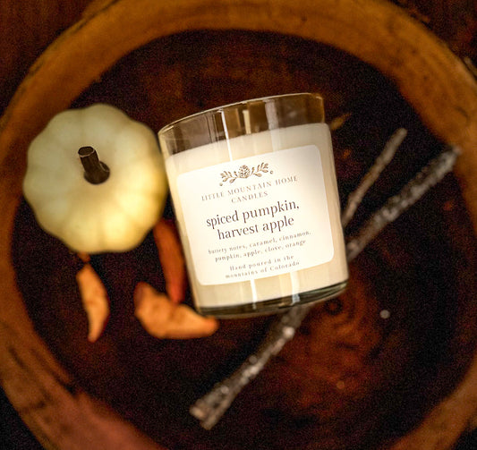 Spiced Pumpkin Apple Harvest